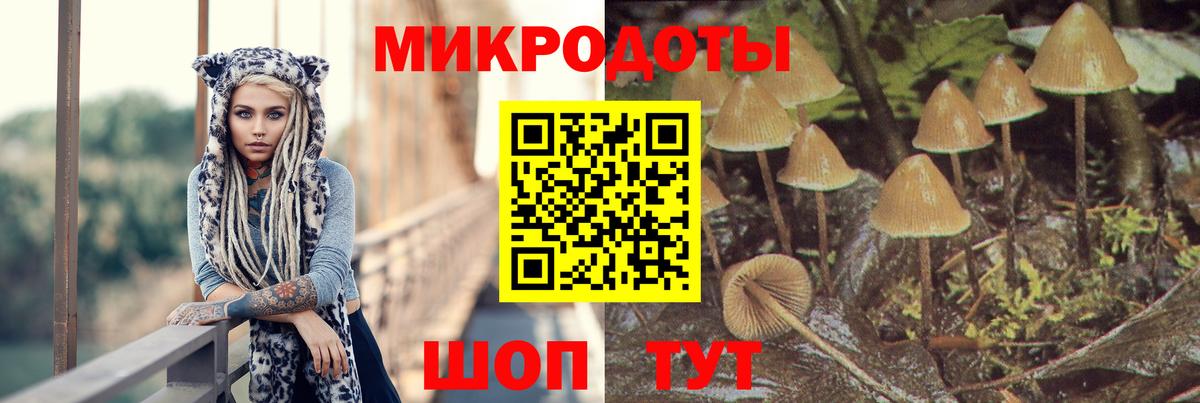 Галлюциногенные грибы Cubensis Ростов-на-Дону